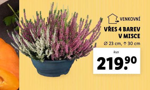 VES 4 BAREV V MISCE