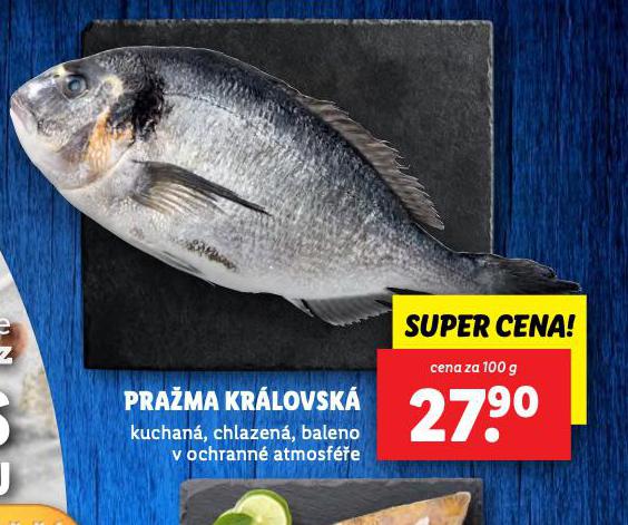 PRAMA KRLOVSK