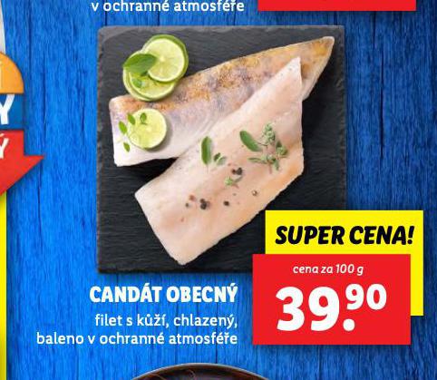 CANDT OBECN