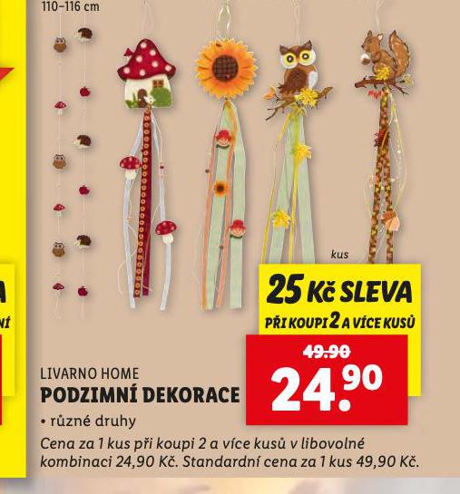 PODZIMN DEKORACE