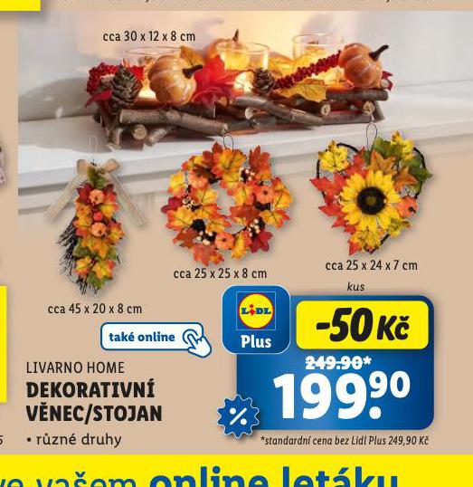 DEKORATIVN VNEC / STOJAN