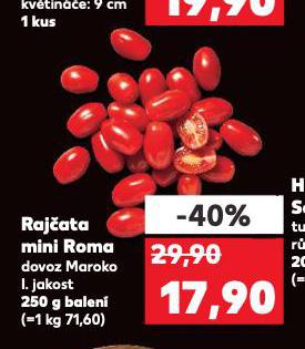 RAJATA MINI ROMA