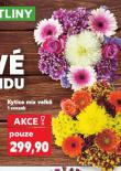 KYTICE MIX VELKÁ
