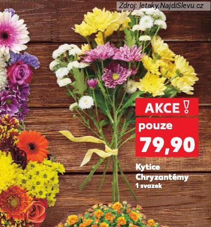 KYTICE CHRYZANTMY