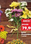 KYTICE CHRYZANTÉMY