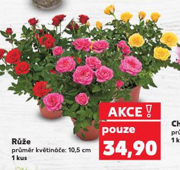 RَE