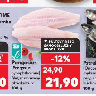 PANGASIUS