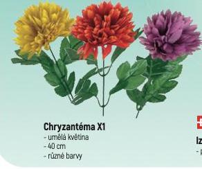CHRYZANTNA UML