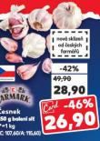 ČESNEK