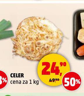 CELER