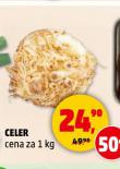 CELER