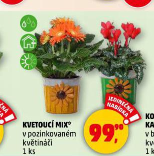 KVETOUC MIX
