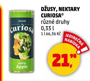 DUSY CURIOSA