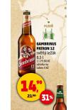 PIVO GAMBRINUS