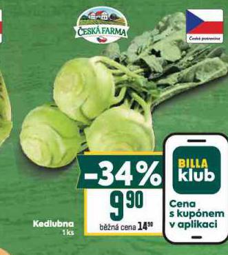 KEDLUBNA
