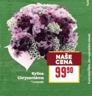 KYTICE CHRYZANTMA