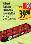 RAJATA STRABENA NA VTVICE