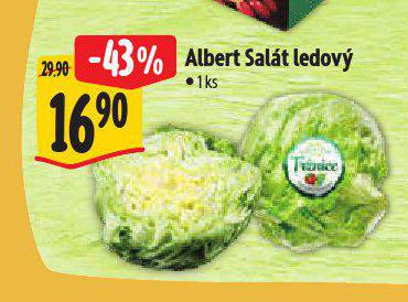 SALT LEDOV