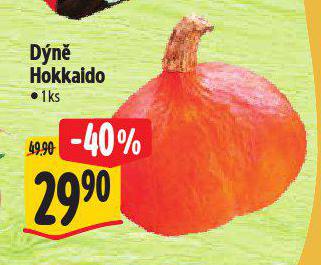 DN HOKKAIDO