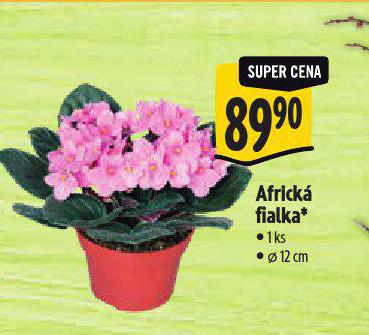 AFRICK FIALKA
