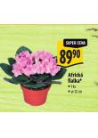 AFRICK FIALKA