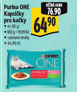 PURINA ONE KAPSIKY PRO KOKY