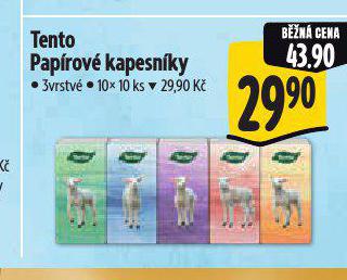 TENTO PAPROV KAPESNKY