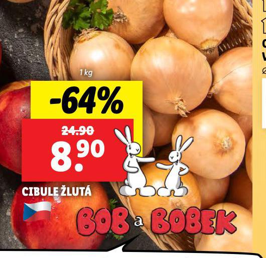 CIBULE LUT