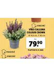 VES CALLUNA COLOUR CROWN
