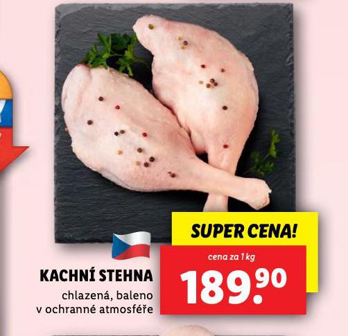 KACHN STEHNA