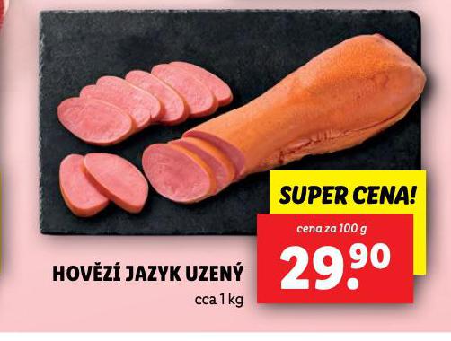HOV̎ JAZYK UZEN