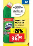 DOMESTOS WC ISTI