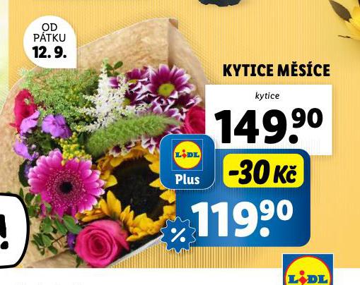 KYTICE MSCE