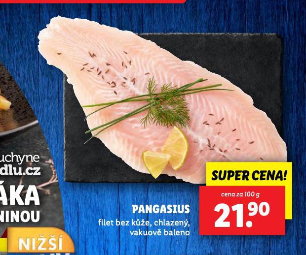 PANGASIUS