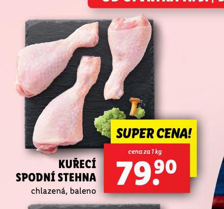 KUEC SPODN STEHNA