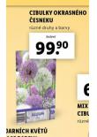CIBULKY OKRASNHO ESNEKU