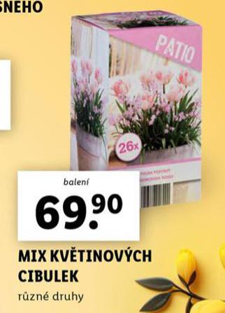 MIX KVTINOVCH CIBULEK