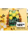 CIBULKY NARCIS