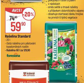 RAELINA STANDARD