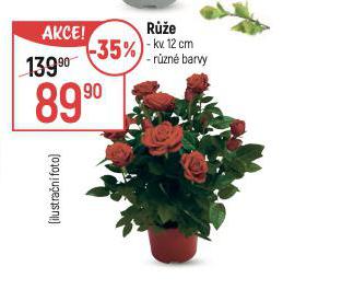 RَE