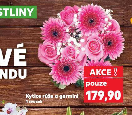 KYTICE RَE A GERMINI