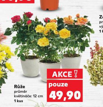 RَE