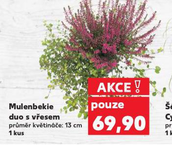 MULENBEKIE DUO S VESEM