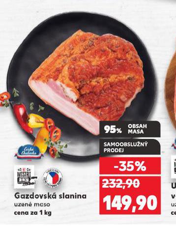 GAZDOVSK SLANINA