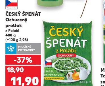ESK PENT PROTLAK