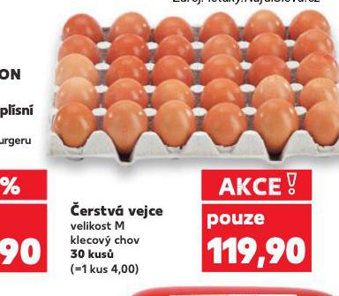 VEJCE M