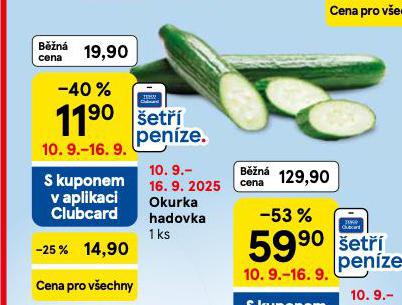 OKURKA HADOVKA