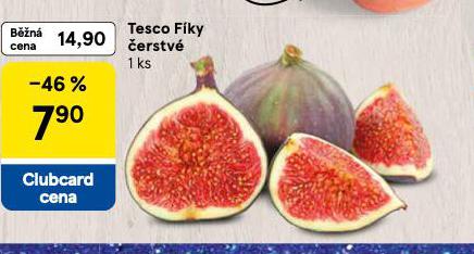 FKY ERVEN