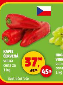 KAPIE ERVEN