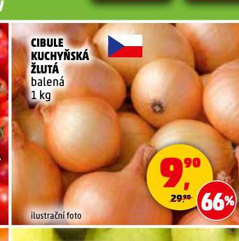 CIBULE KUCHYSK LUT